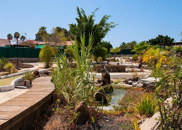 別荘 With Terrace In Maspalomas Ds50 By Villagrancanaria